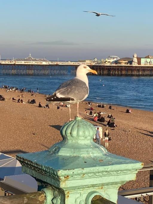 Regency Brighton Seafront Apartment Esterno foto